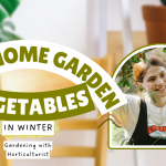 5 Best Home Garden Vegetables to Grow in Winter
